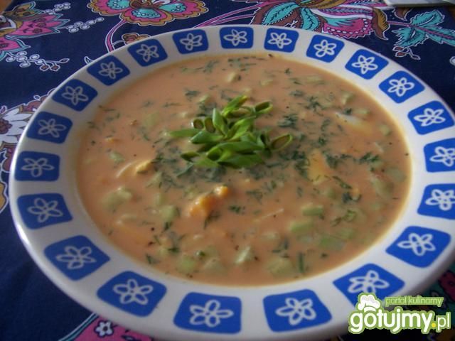 Błyskawiczny chłodnik dża