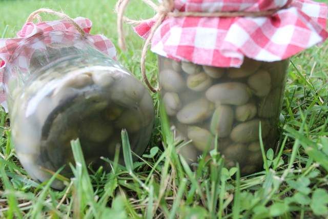 Bób pasteryzowny Bób pasteryzowny