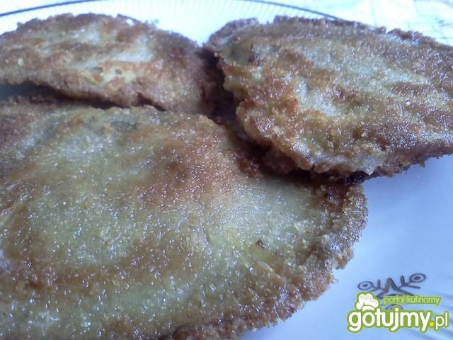 boczniaki schaboszczaki