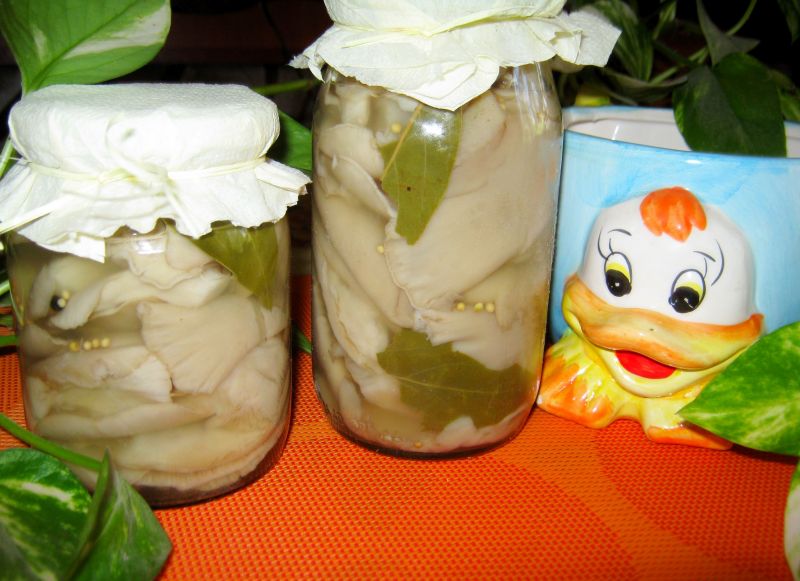 Boczniaki w occie Boczniaki w occie