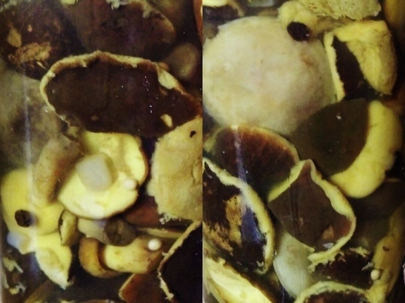 Borowiki w lekkiej marynacie miodowej