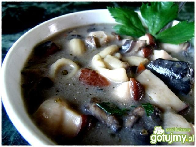 Borowikowo-pieczarkowa Borowikowo-pieczarkowa