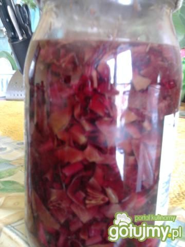 Botwina do słoików