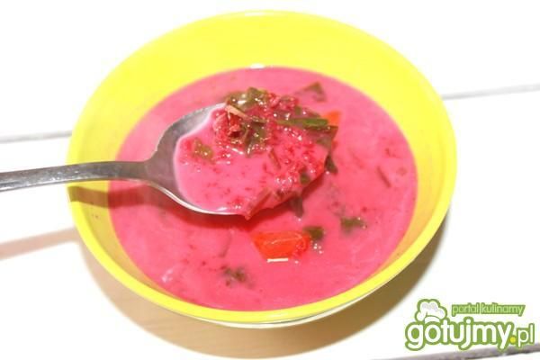 Botwinka z odrobina octu