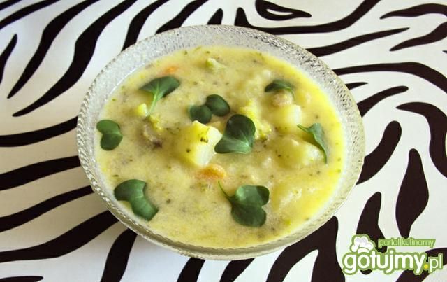 Brokułowa zupa Brokułowa zupa