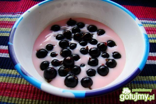 Budyń z czarną porzeczką 
