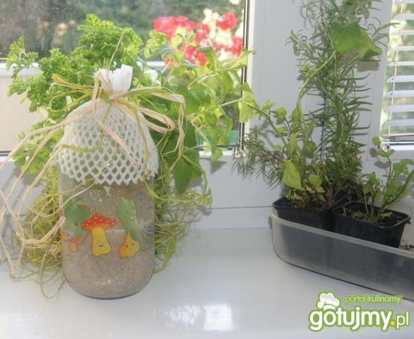 Buniowy zakwas na żurek 2 