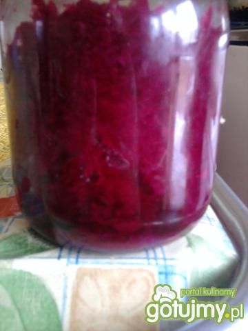 Buraczki tarte do słoików