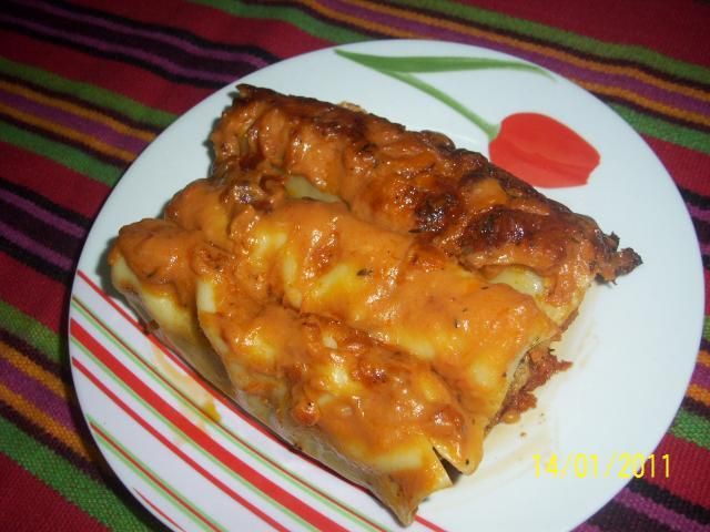 Cannelloni 
