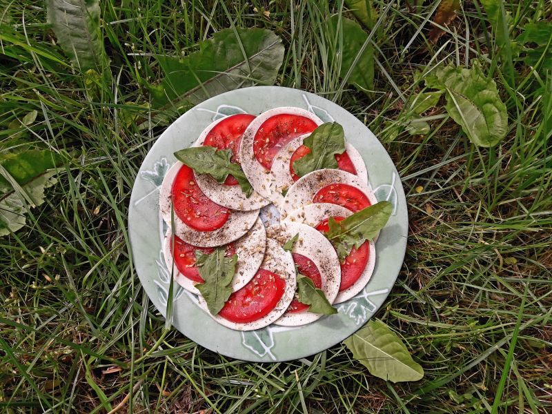 Caprese z mniszkiem lekarskim