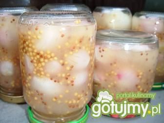 Cebulka w zalewie musztardowej Cebulka w zalewie musztardowej