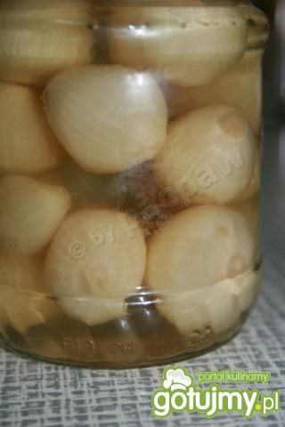 Cebulki marynowane  Cebulki marynowane