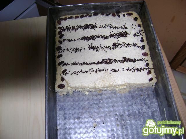 chałwowiec -tani i szybki