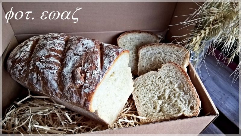 Chleb pszenno - orkiszowy Chleb pszenno - orkiszowy