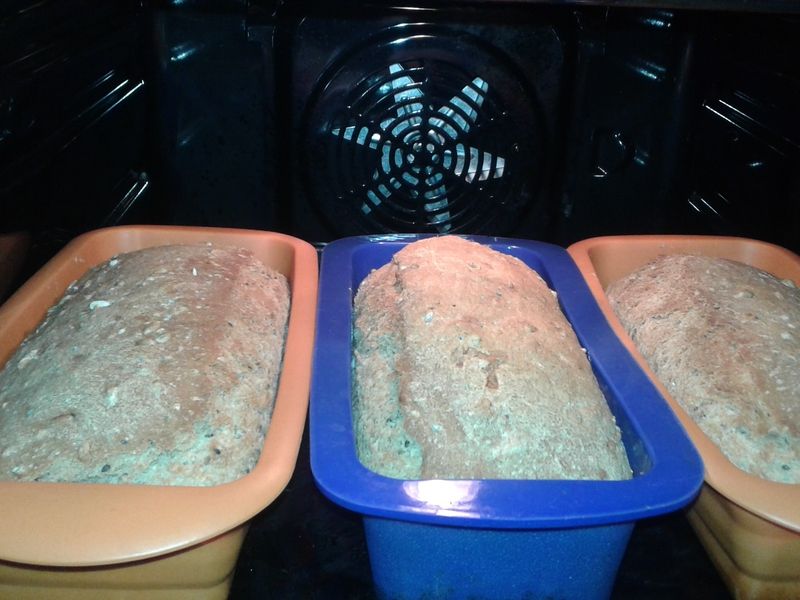 Chlebek otrębowo - slonecznikowy z czarnym sezamem Chlebek otrębowo - slonecznikowy z czarnym sezamem