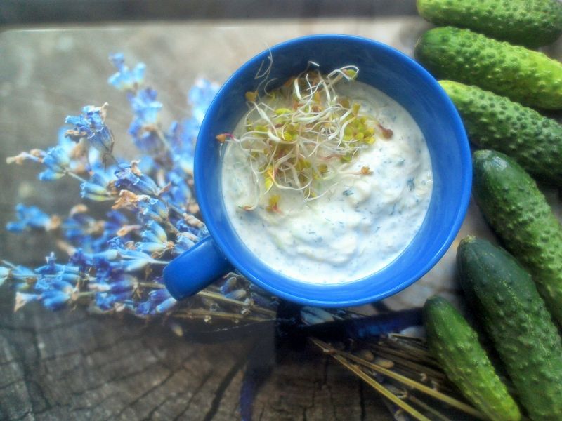 Chłodnik cukiniowy Chłodnik cukiniowy