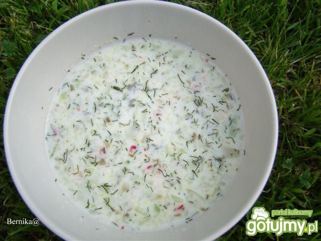 Chłodnik ogórkowy na upalne dni