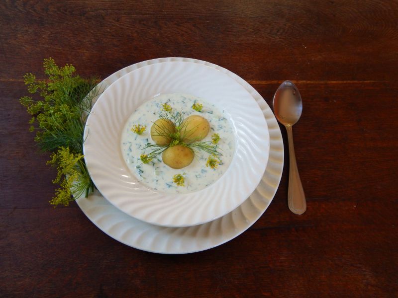 Chłodnik ogórkowy z młodymi ziemniakami