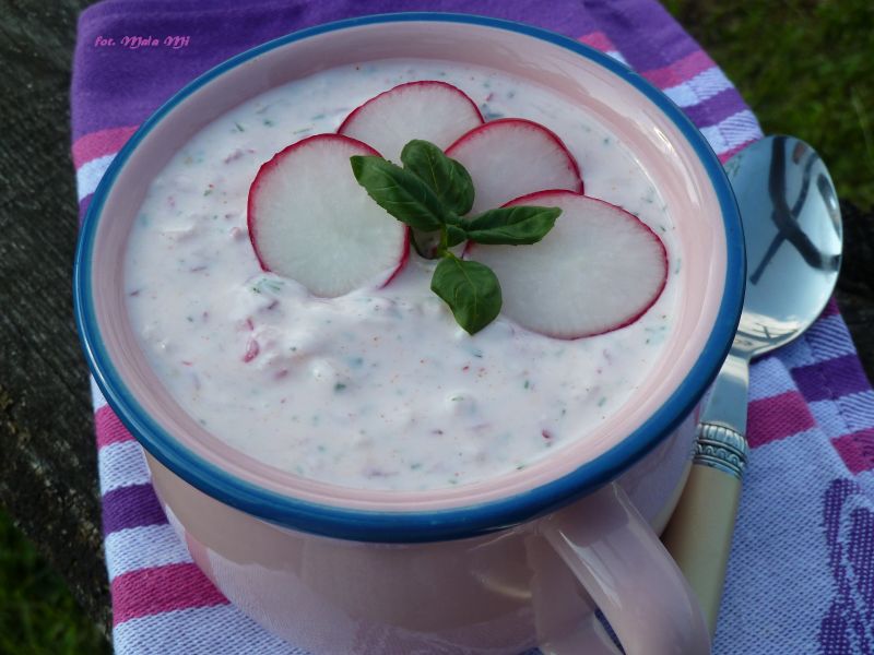 Chłodnik rzodkiewkowy z koperkiem