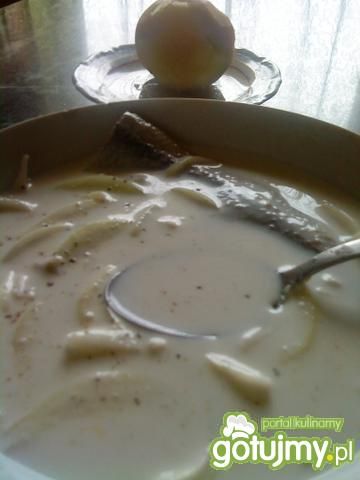 Chłodnik śledziowy