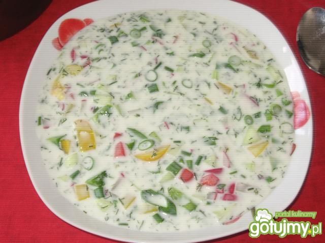 Chłodnik wiosenny 3 Chłodnik wiosenny 3