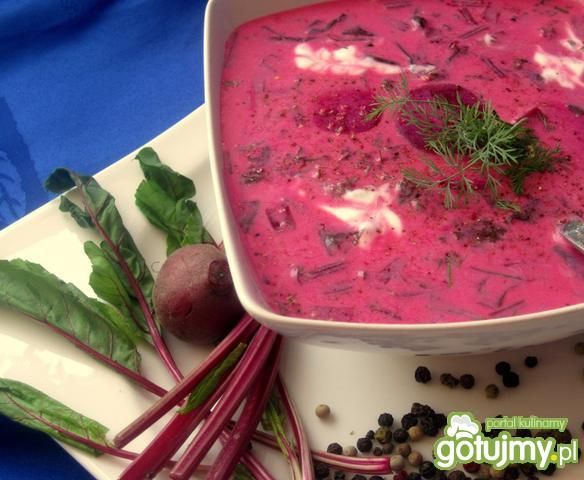 Chłodnik z botwinki z koperkiem