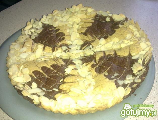 Ciacho budyniowo - kakaowe Ciacho budyniowo - kakaowe