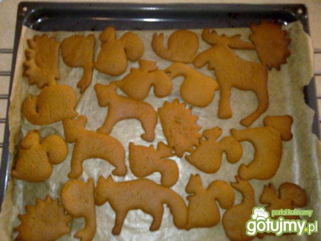Ciasteczka cynamonowe 6 Ciasteczka cynamonowe 6