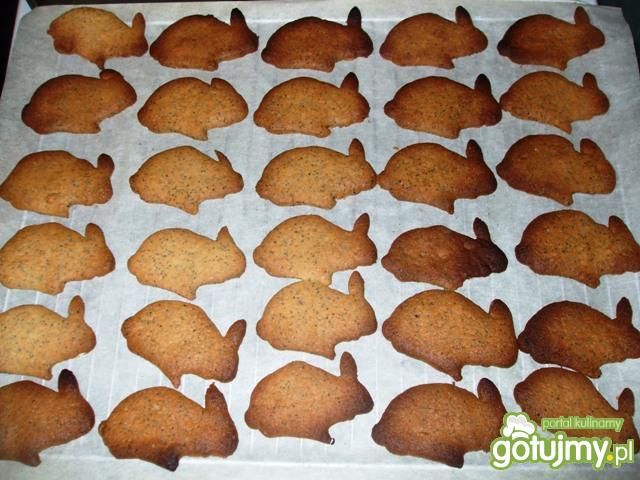 Ciasteczka makowe do wykrawania Ciasteczka makowe do wykrawania