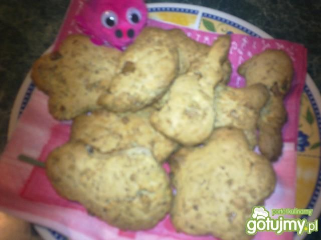 Ciasteczka Płataki