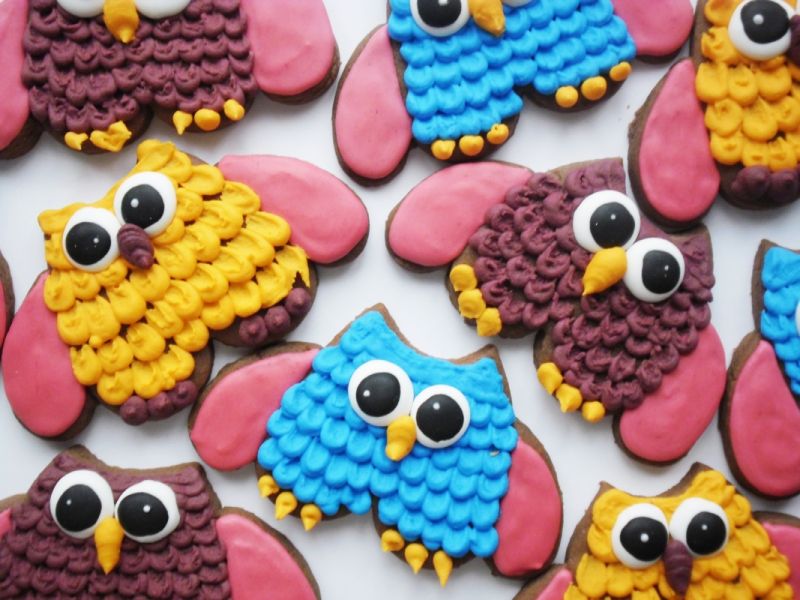 Ciasteczka zezowate sowy