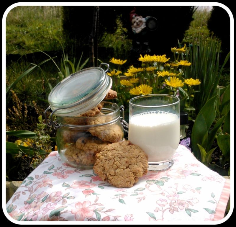 Ciastka owsiano - orzechowe