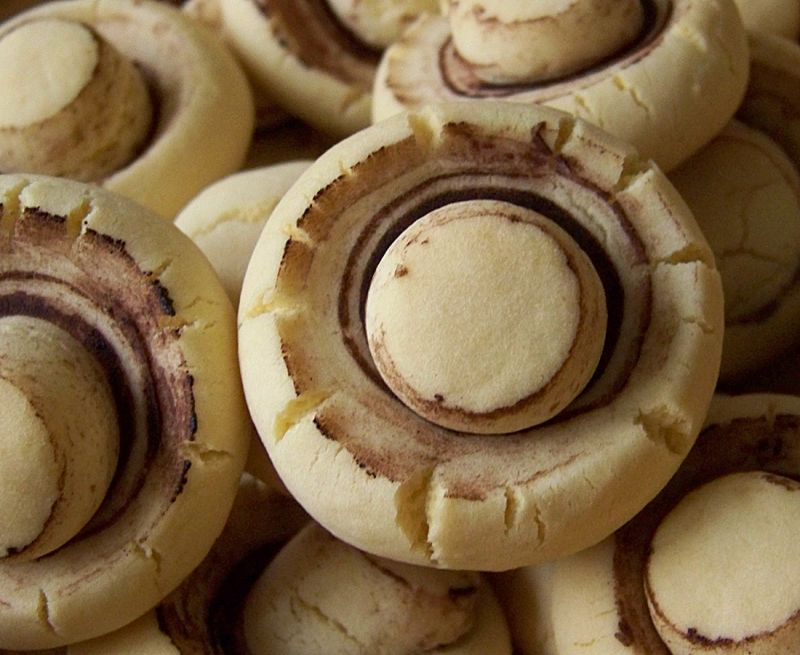 Ciastka pieczarki Ciastka pieczarki