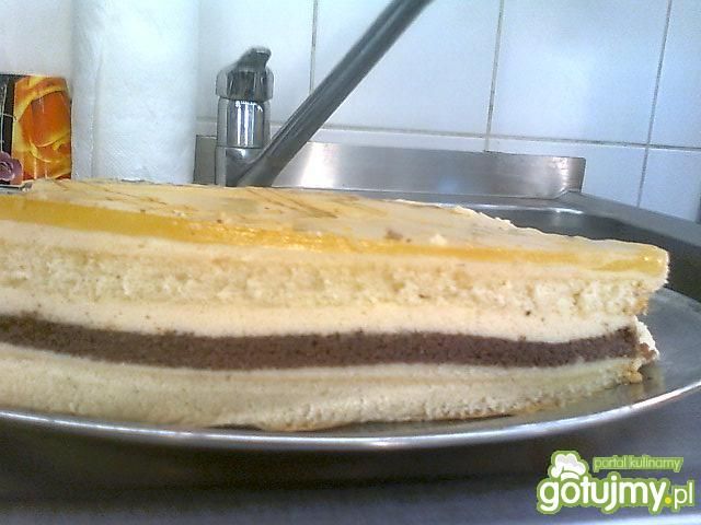 Ciasto biszkoptowe 4