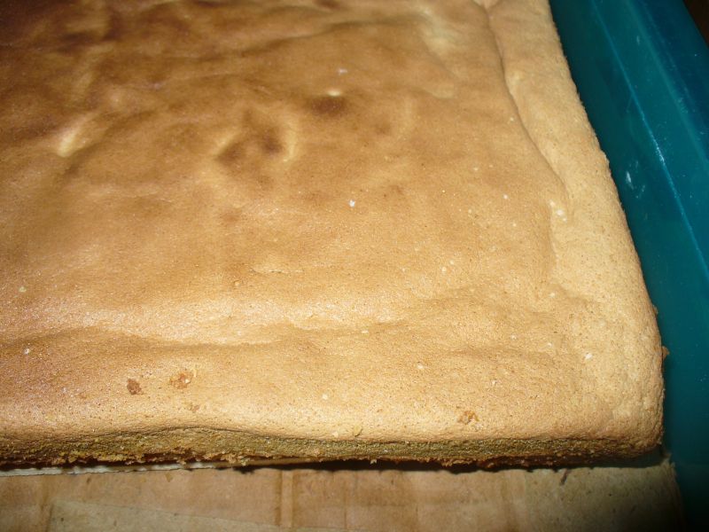 Ciasto biszkoptowe i orzechowe z masą