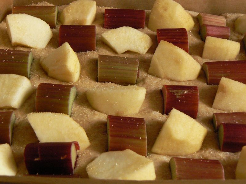 Ciasto drożdżowe z rabarbarem i jabłkami
