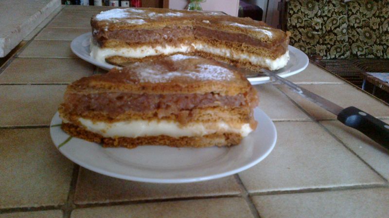 Ciasto jabłkowo-budyniowe 