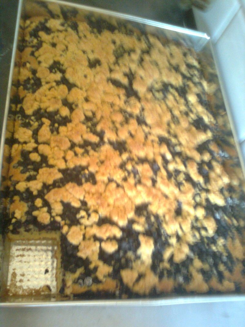 Ciasto jogurtowe z borówkami