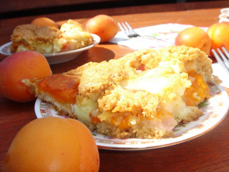 Ciasto "Morelka z budyniem"