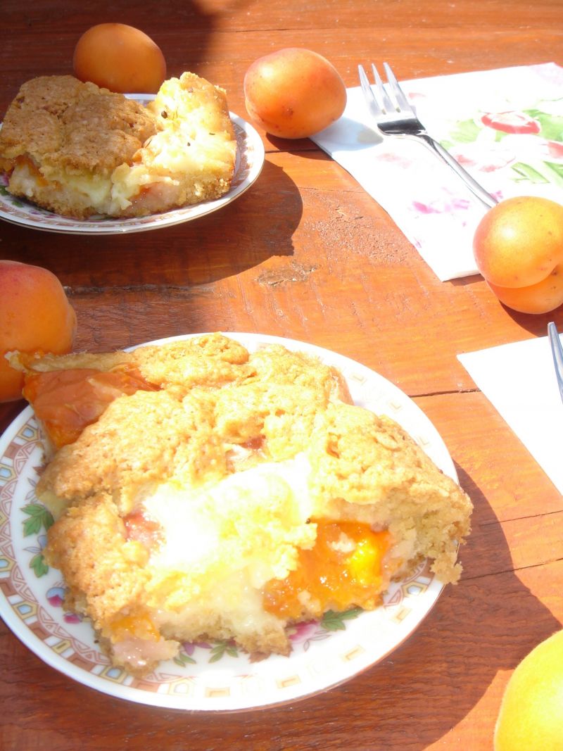 Ciasto "Morelka z budyniem"