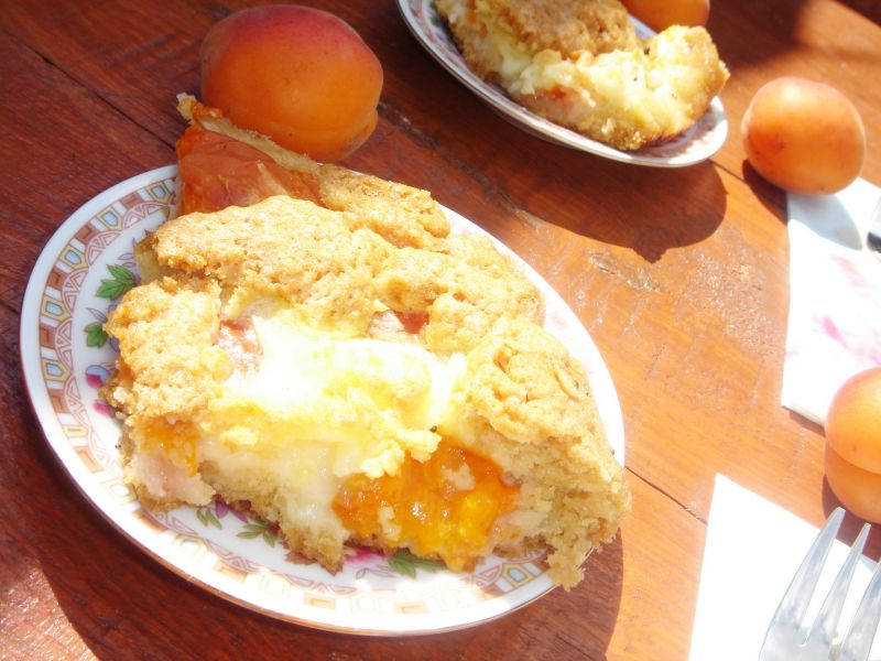 Ciasto "Morelka z budyniem"