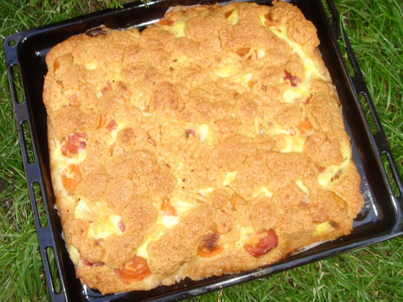 Ciasto "Morelka z budyniem"