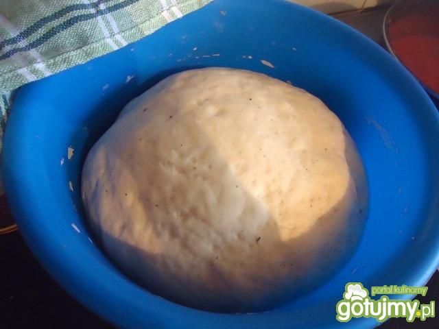 Ciasto na pizzę wg Mychy