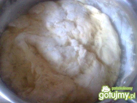 ciasto na pizzę z suszona bazylią