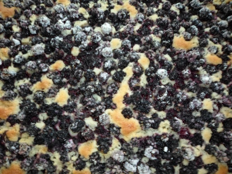 Ciasto z jeżynami Ciasto z jeżynami