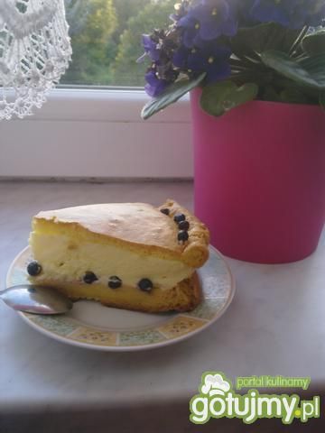 Ciasto z masą waniliową i jagodami Ciasto z masą waniliową i jagodami