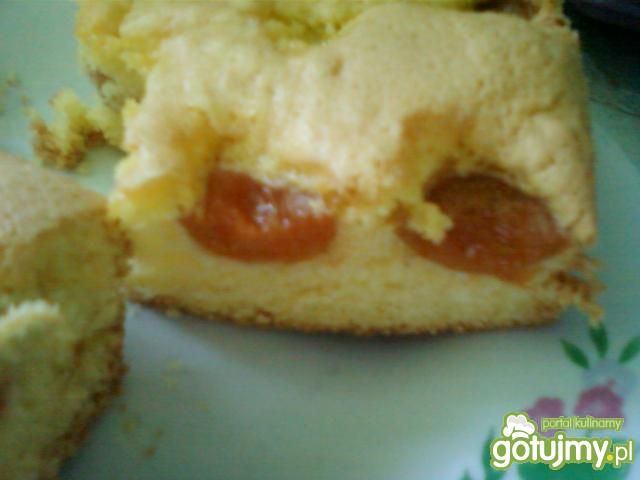 Ciasto z morelami  Ciasto z morelami