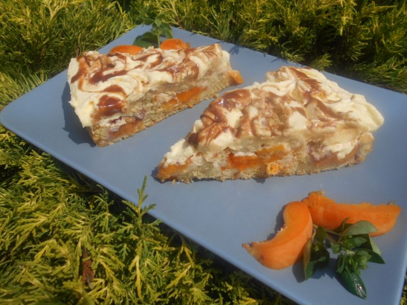 Ciasto z morelami i nektarynkami