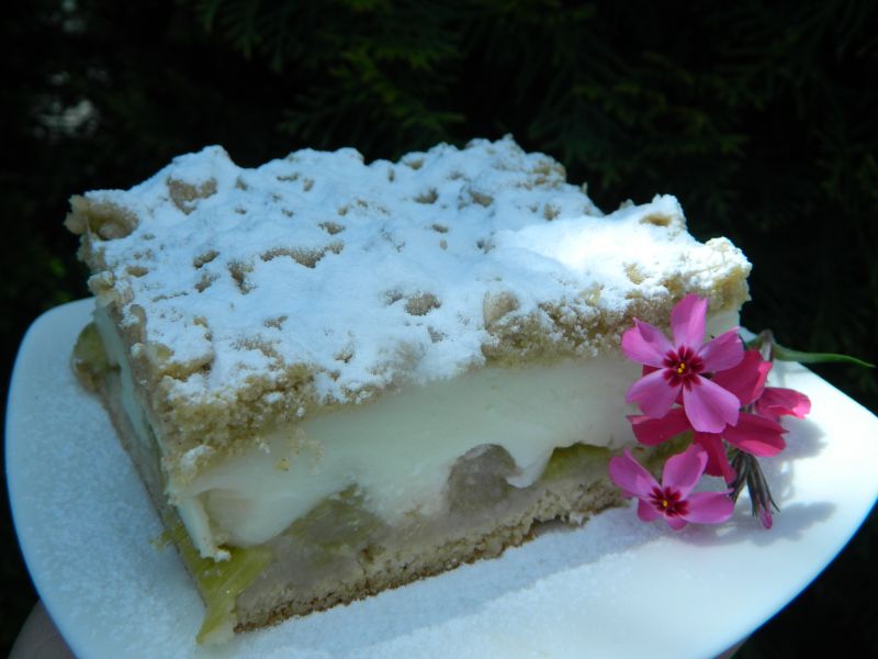 Ciasto z rabarbarem i budyniem Ciasto z rabarbarem i budyniem