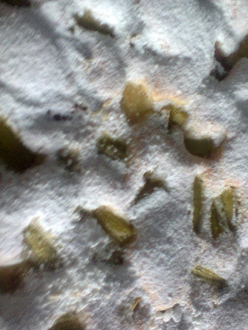 Ciasto z rabarbarem i gruszką